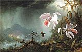 Martin Johnson Heade Canvas Paintings - Two Fighting Hummingbirds with Two Orchids